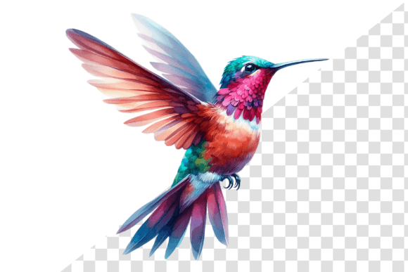 Download Hummingbird Art Watercolors Clipart - Premium Resources