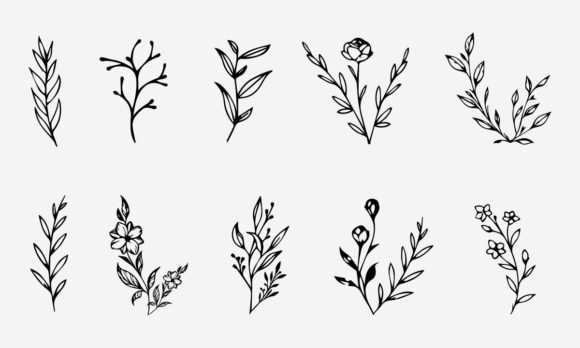 Download Flower Line Drawing Vector Illustration - Wing Collection
