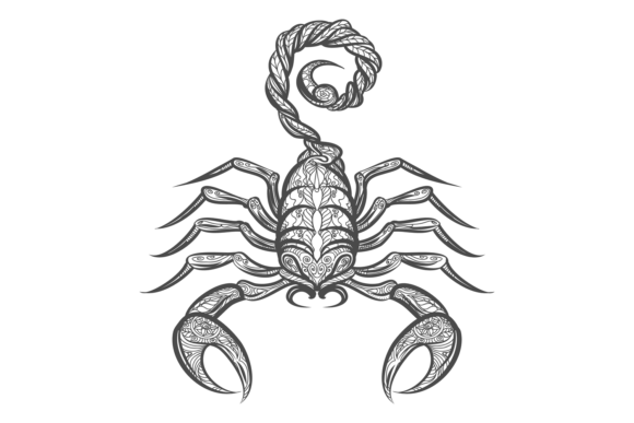 Download Scorpion in Decorative Tribal Ornament S - Decor Collection