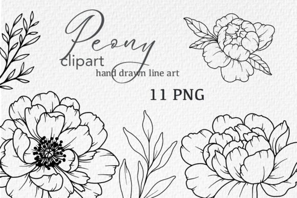 Download Peonies LINE DRAWING, Floral Line Art - Wing Collection