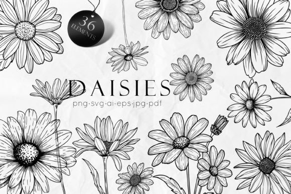 Download Daisy Line Art Drawing SVG - Wing Collection